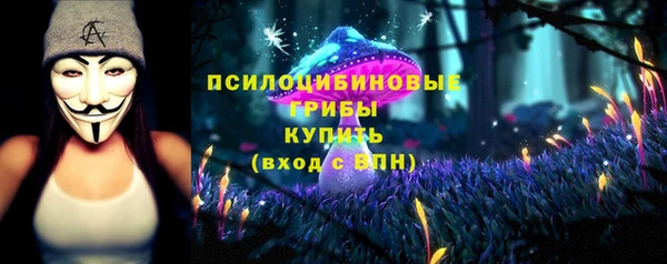 2c-b Аркадак
