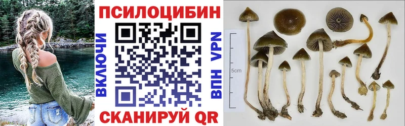 Галлюциногенные грибы мухоморы  MEGA ссылки  Сольцы 